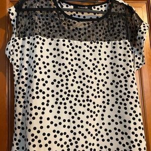 NWOT Cream and black short sleeve, dotted with lace neckline, size small